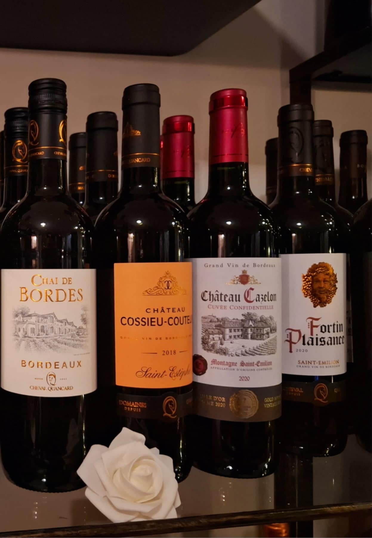 Vinařský kurz mírně pokročilý